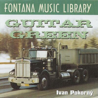 Guitar green Ivan Pokorný