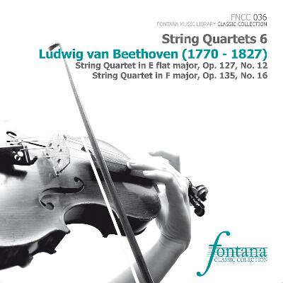 Ludwig van Beethoven - String Quartets 6